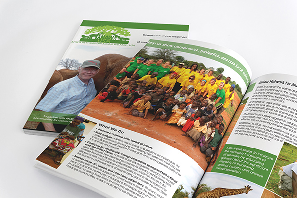 Print Brochure Design