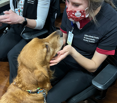 denver therapy dog bodhi