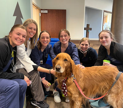 denver therapy dog bodhi